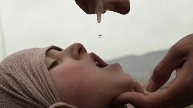 Le vaccin antipoliomyélitique oral a été utilisé dans la plupart des programmes nationaux de vaccination dans le monde