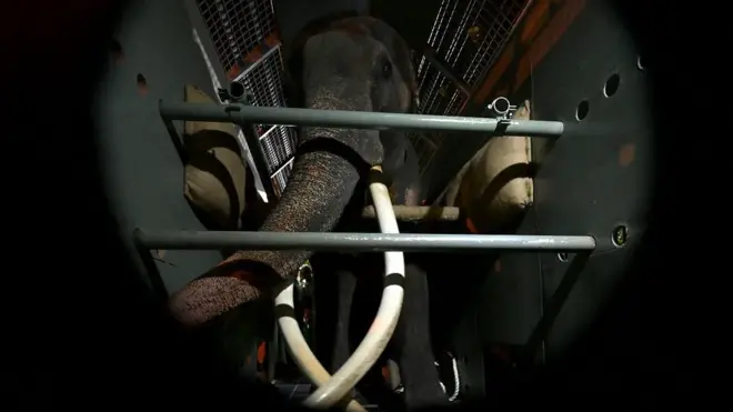 'අන්න ඉතිං මුතූ අන්තිම පාරට යන්නම යනවා. ආයේ නොඑන්නම යනවා'මුතු රාජා