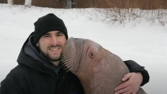 Phil Demers, a former senior animal trainer at Canada's Marineland, developed a unique bond with Smooshi the walrus