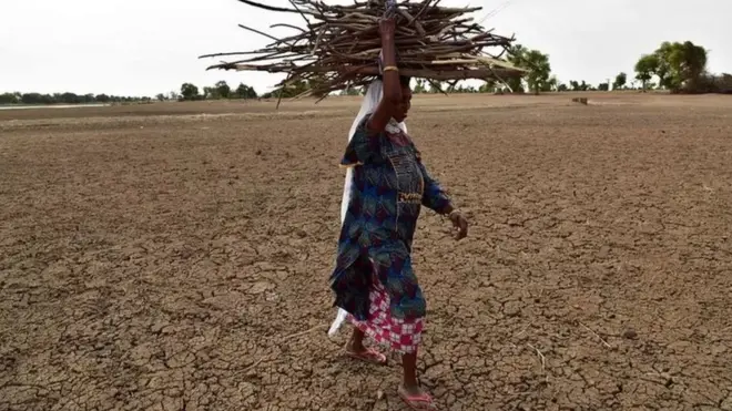 La sécheresse est l'un des nombreux problèmes du Sahel
