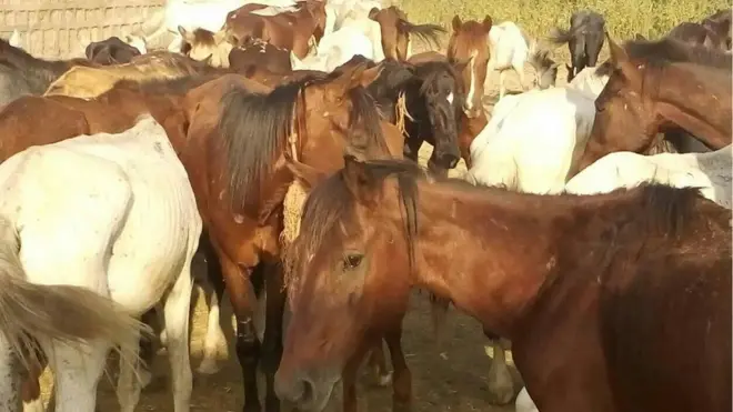 ኣፍራስ