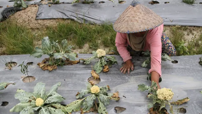 Warga desa di Kabupaten Konawe, Sulawesi Tenggara