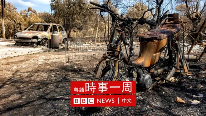 希腊埃维亚山火后