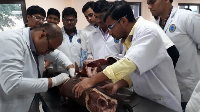 మన దేశంలో వైద్యరంగంలో స్థిరపడాలంటే నీట్ రాయడం తప్పనిసరి.