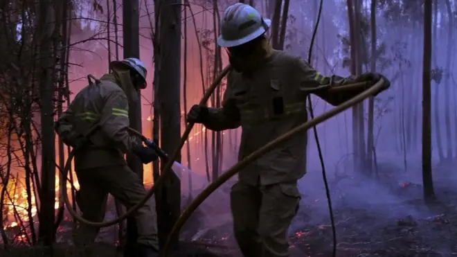 Попежники продовжують боротися проти вогню, який шириться одразу у кількох напрямках