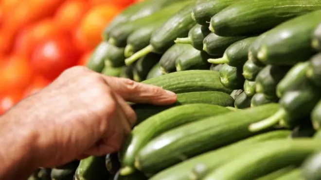 Jika setiap orang menjadi vegetarian, pada tahun 2050 nanti angka kematian di dunia berkurang tujuh juta orang per tahun.