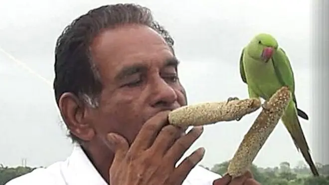 ఈ రైతు ఇంటికి 5 వేలకు పైగా పక్షులు వస్తాయి..