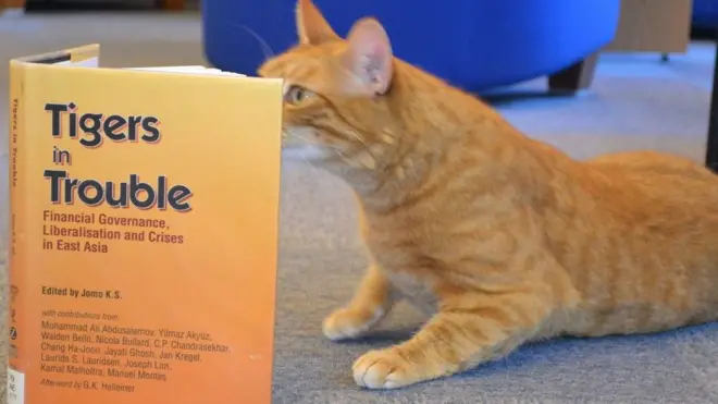 The library is hoping to arrange more "meet Jasper" sessions for university students