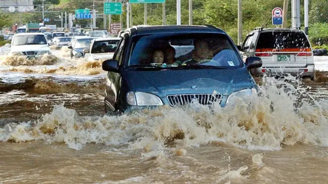 한국에서는 개미, 나리, 장미, 미리내, 노루, 제비, 너구리, 고니, 메기, 독수리 등의 태풍 이름을 제출했다
