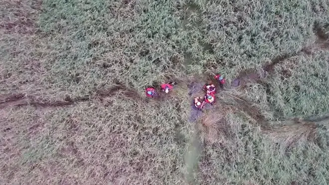 Спасатели оказывают первую помощь