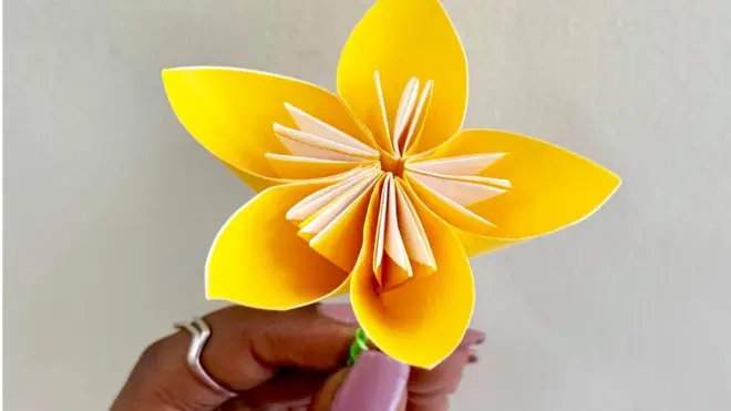 Sochii Keelloo habaaboo bakka buutu