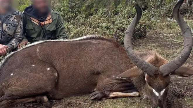 namoota bineensa adamsanii ajjeesan wajjiin