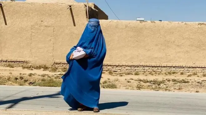 तालिबान