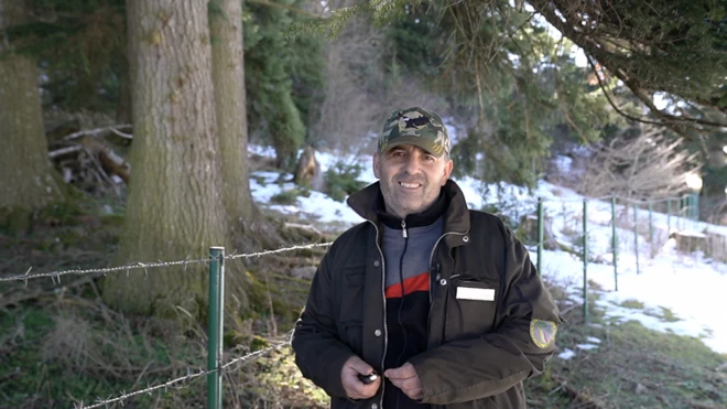 Kako je legenda sačuvala „ukletu šumu” na Pešteru