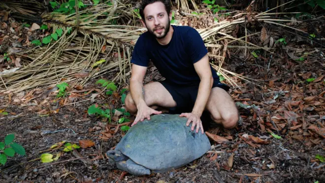 'విపరీతంగా మాట్లాడే తాబేలు': పరిశోధకుల నమ్మకాలనే తలకిందులు చేసిన తాబేలు ఇది..