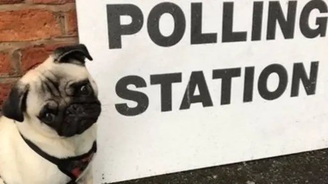 Phoebe in Manchester waits patiently outside her polling station