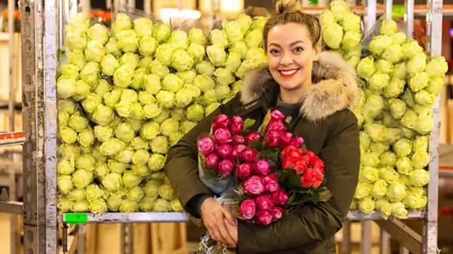 నెదర్లాండ్స్ ఫ్లవర్ మార్కెట్