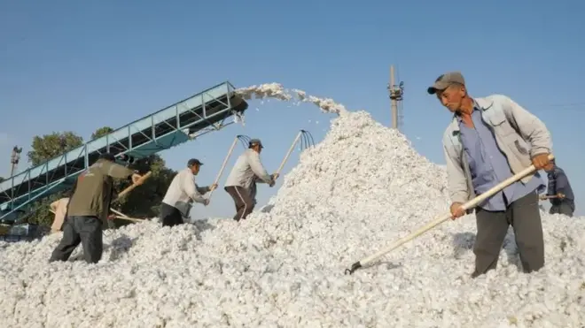 Пахта хирмони