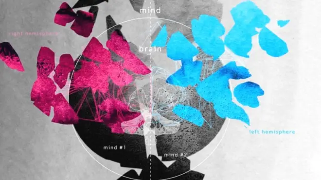 दिमाग कैसे काम करता है