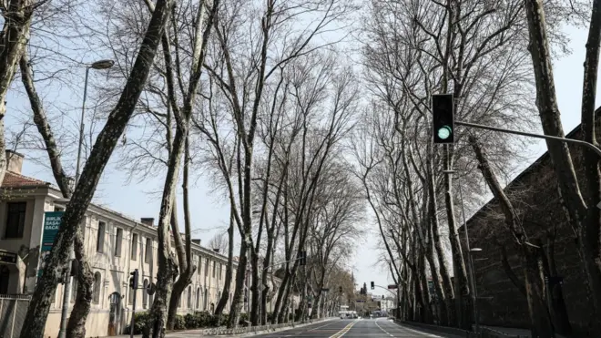 İstanbul Beşiktaş'taki Dolmabahçe Caddesi tarihi çınarlarıyla ünlü caddelerden biri