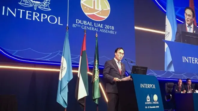 Нового президента Інтерполу обирали делегати генасамблеї - по одному голосу від кожної країни. Більше 62% голосів набрав Кім Йонг Ян з Південної Кореї