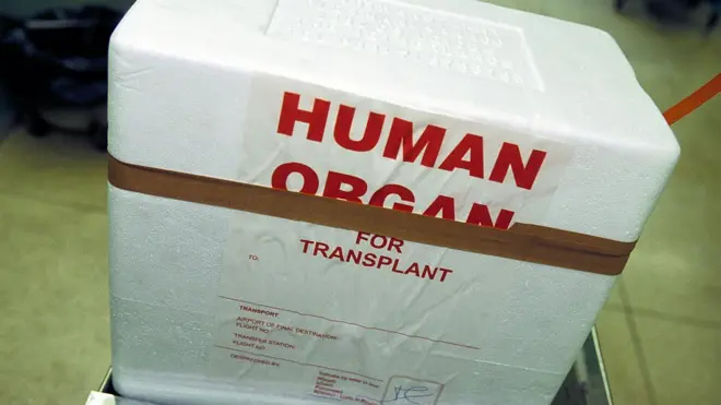 трансплантація