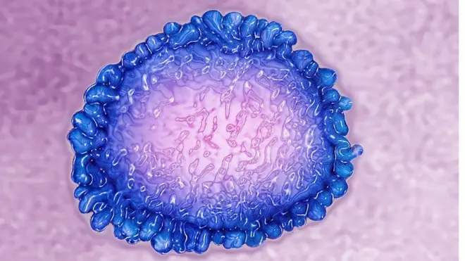 什么是“大流行病”？