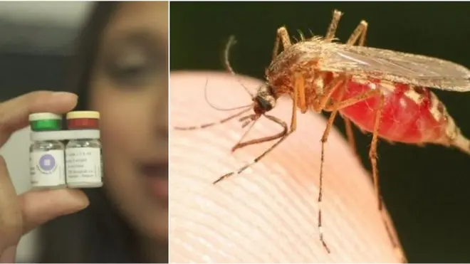 మలేరియా టీకా