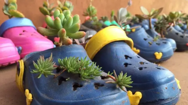 Upandani wa mimea ya maua kwenye viatu vikuu