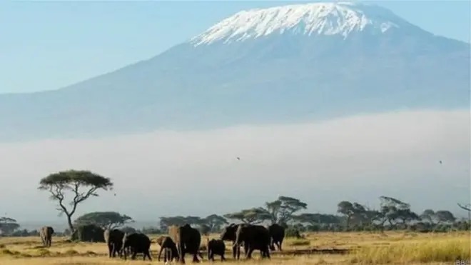 Kilimanjaro