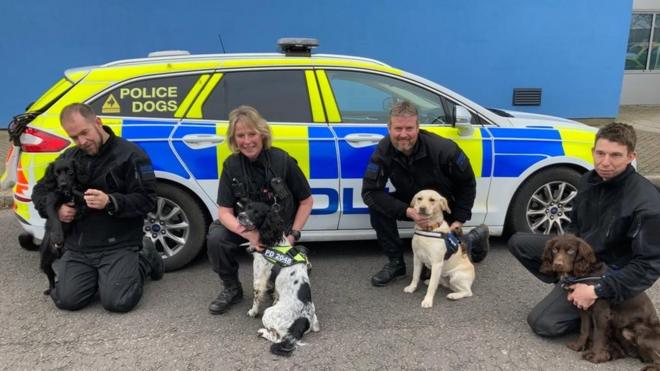 Puppy walkers sales for the police