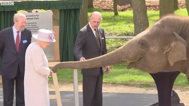Королева Елизавета II кормит слона
