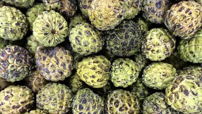 सुगर एप्पल