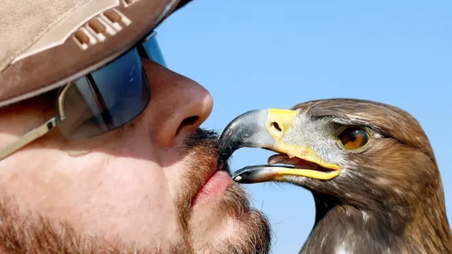یاسر الخوانکی اس اجتماع کے موقع پر اپنے سنہرے عقاب کو کھانا کھلاتے ہوئے