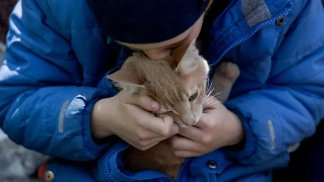 Украинский ребенок со своей кошкой на вокзале Будапешта