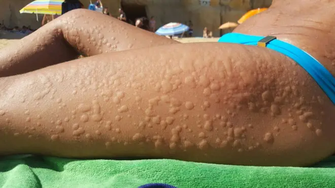 Beatriz Sánchez en la playa