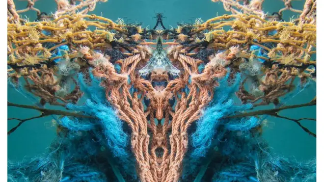 Фотография Джейн-Энн Гилкрист под названием "Структурализм". На снимке - кусок рыбацкой сети.