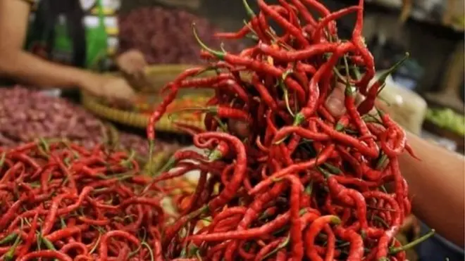 یو شمېر ثبوتونه ښيي، چې تریخ سره مرچ د سون او تیزابیت مخنیوی کوونکي جزیات لري