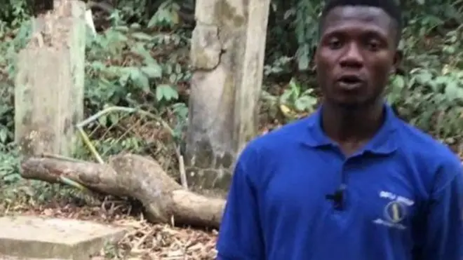 mi ikogosi wulo fun iwoasan ẹda