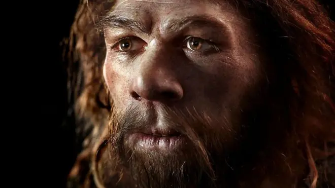 نئاندرتال‏