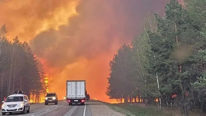 Лесной пожар