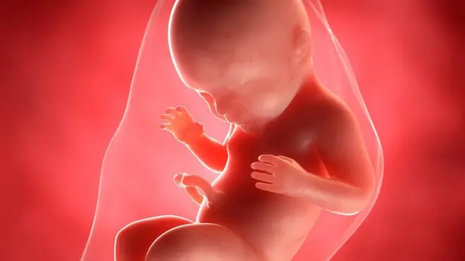 باحثون بريطانيون ينجحون في تخليق "أجنة اصطناعية" من الفئران باستخدام خلايا جذعية