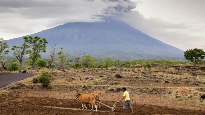 Gunung Agung terus memuntahkan debu, November 2017 lalu, dan warga di luar zona berbahaya melakukan kegiatan seperti biasa dengan pemandangan di latar belakang berupa letusan Gunung Agung.