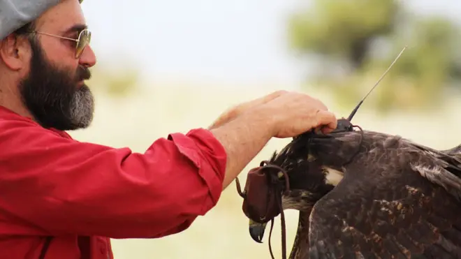 El primer encuentro de Sarasola con un águila marcó su futuro en la conservación de especies.
