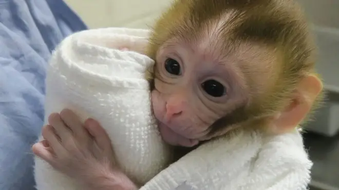 Baby Grady aged 12 weeks old