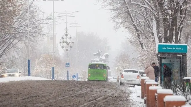 Тошкент кўчаси