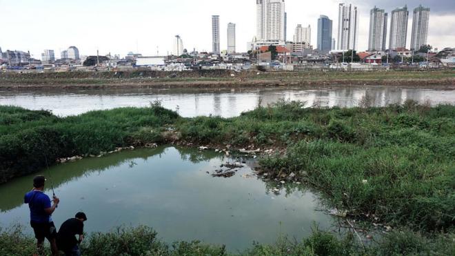 Sawah Beralih Jadi Perumahan Atau Industri Mengancam Ketahanan Pangan ...