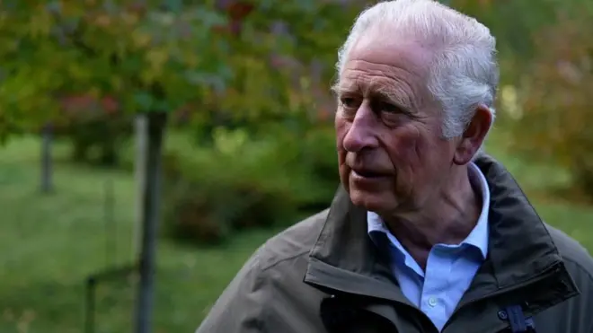 Принц Уэльский каждый день старается сократить углеродный след, который он оставляет и призывает других тоже быть ответственнее