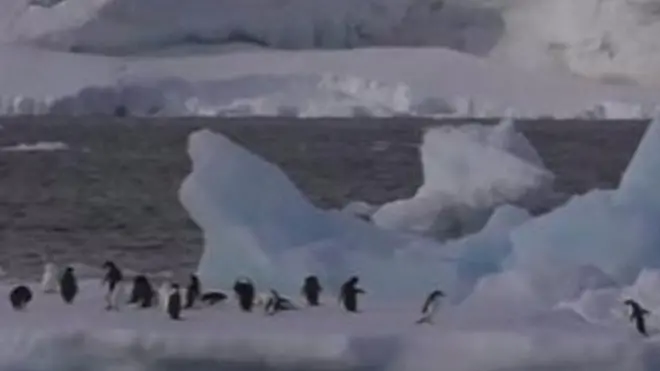 पर्यावरण