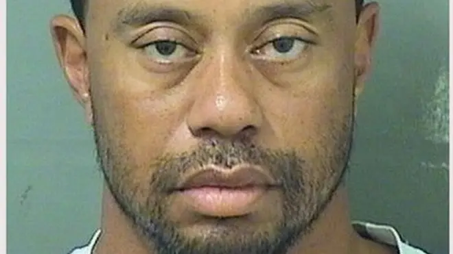 Police in Palm Beach County released a mugshot of the golfer